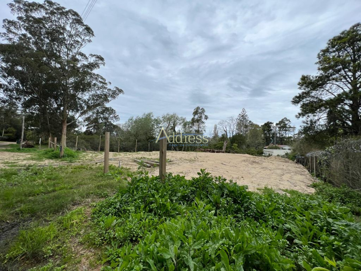 Golf - GoPunta - Portal Inmobiliario de Punta del Este - Maldonado