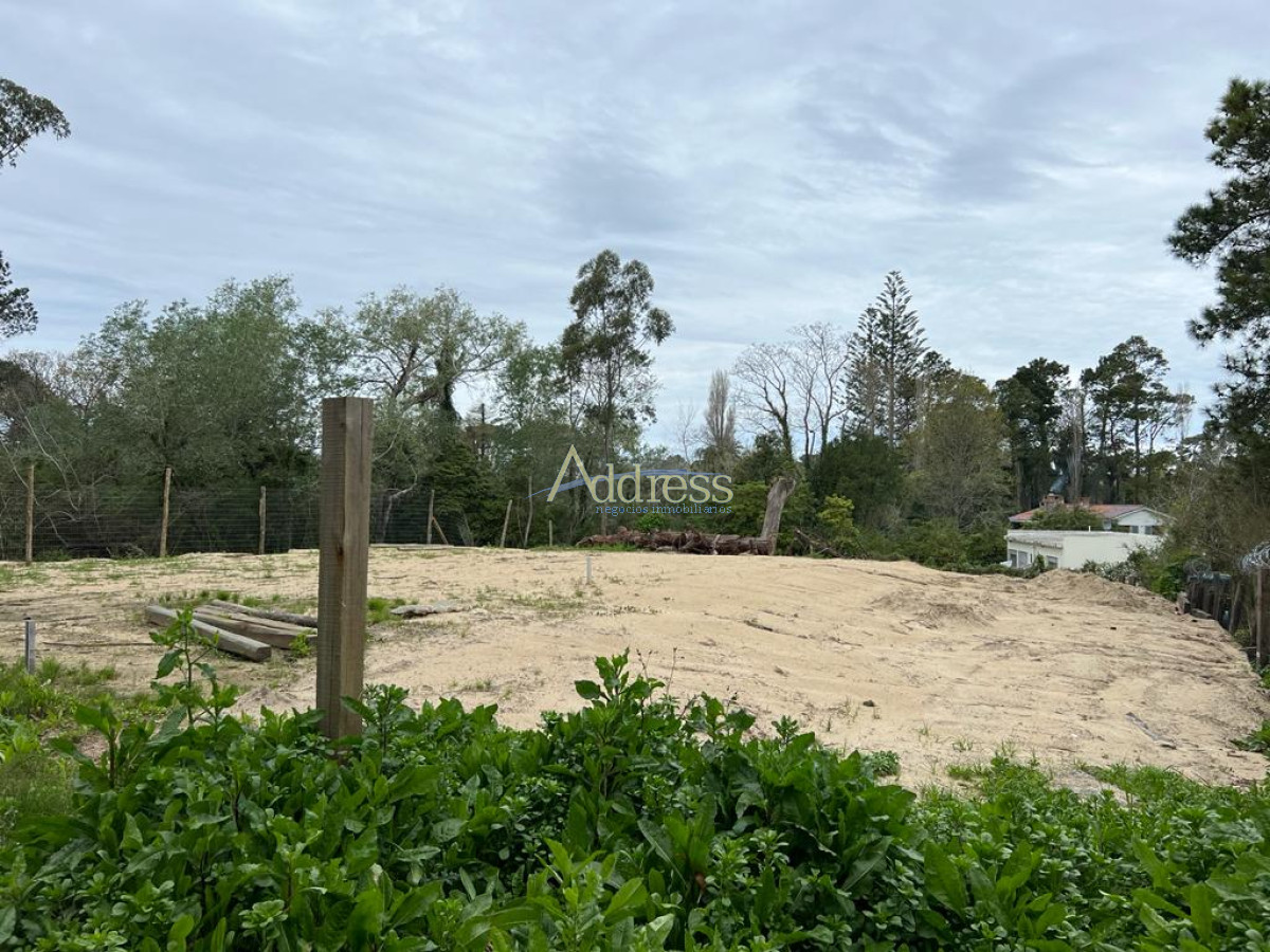 Golf - GoPunta - Portal Inmobiliario de Punta del Este - Maldonado