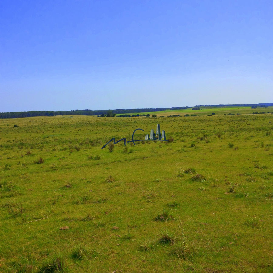 Chacra ID.213 - Chacra - Pueblo Garzón
