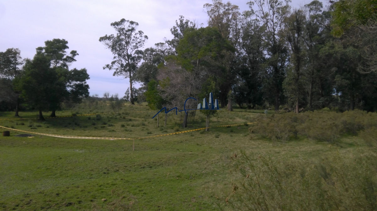 Terreno ID.263 - Terrenos en Edén Rock, José Ignacio
