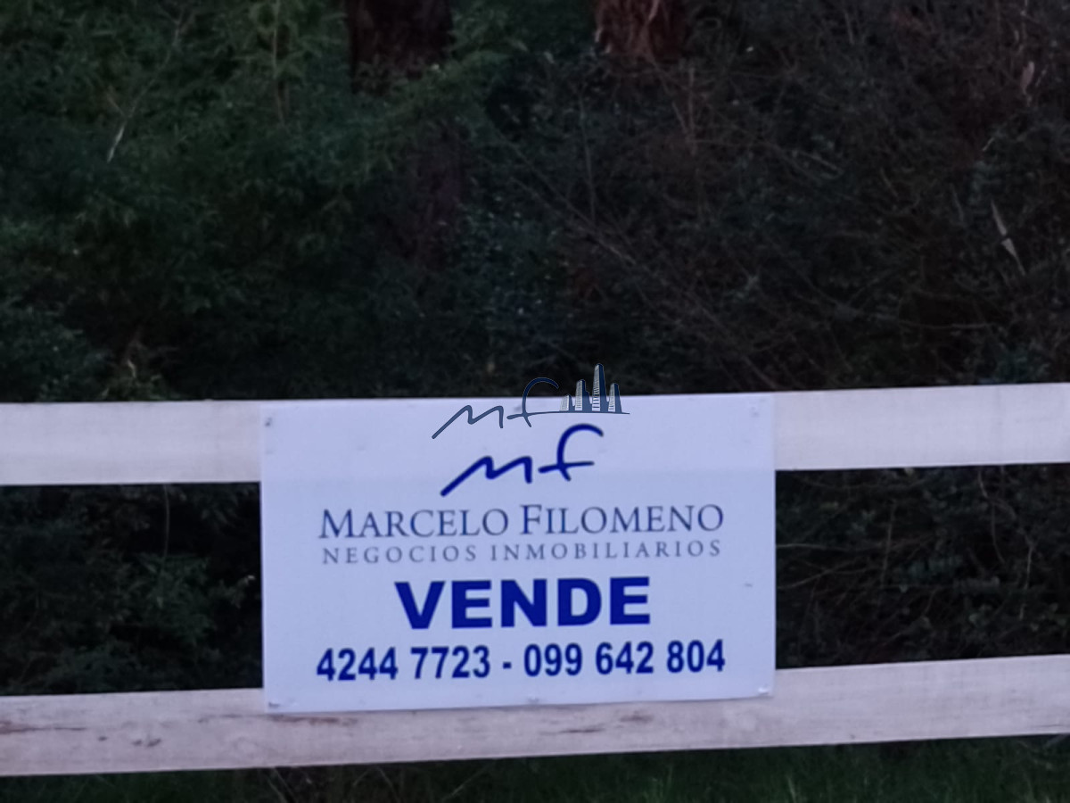 Terreno ID.570 - EGUZQUIZA - LA BARRA- EXCELENTE LOTE 15.743 MTS2 - APTO PARA SUBDIVIDIR