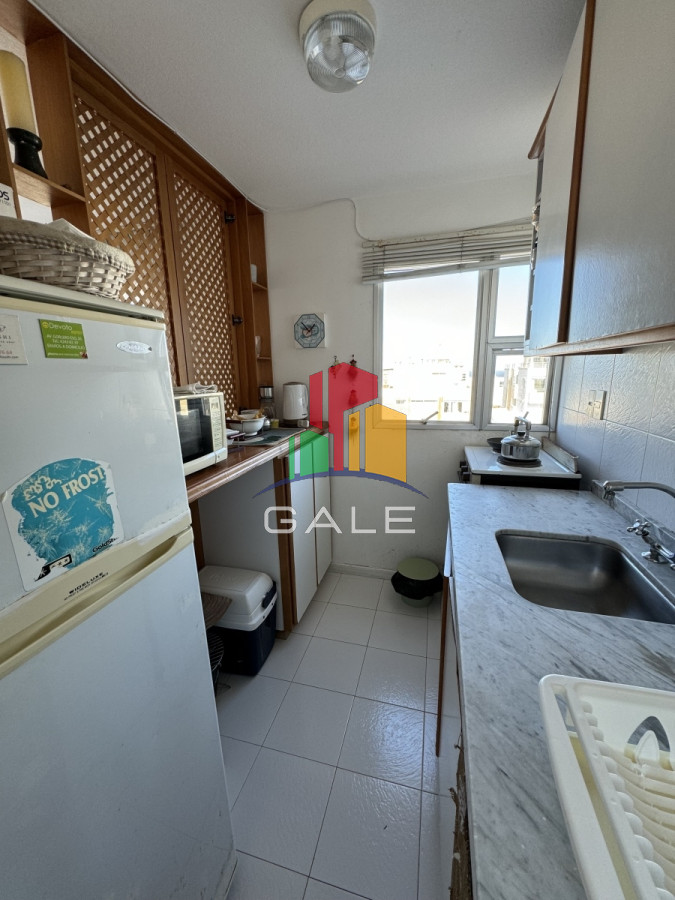 Apartamento ID.3918 - Venta Apartamento 2 Dormitorios en Peninsula, Vista al Mar 