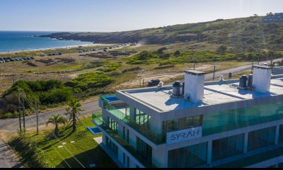 MONOAMBIENTE, SYRAH PUNTA DEL ESTE