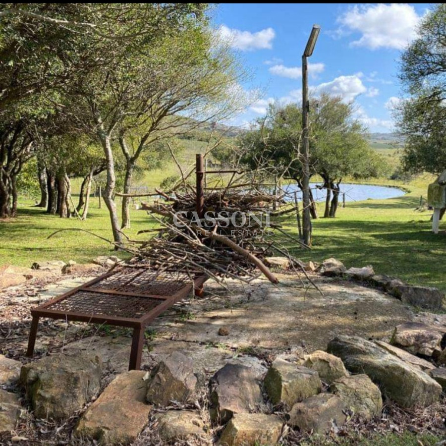 Chacra ID.1956 - Venta Chacra En Ruta 12, Proxima a Pueblo Eden, 8 Has 