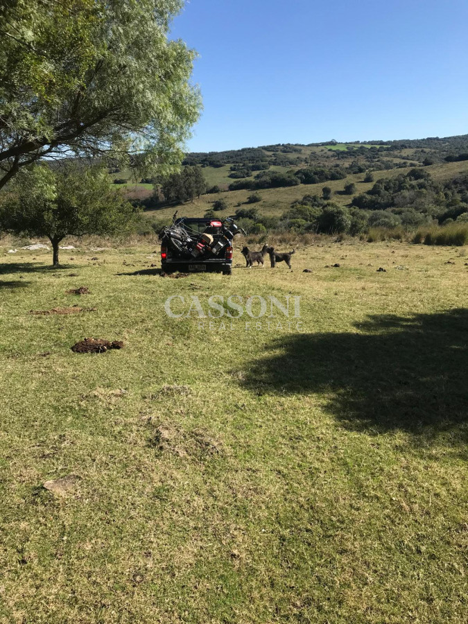 Chacra ID.3953 - MUY LINDO CAMPO EN GARZÓN CON FINCA  DE 2 DORMITORIOS
