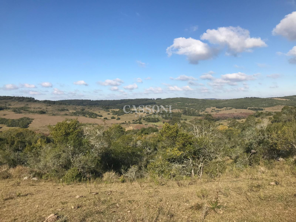 Chacra ID.3953 - MUY LINDO CAMPO EN GARZÓN CON FINCA  DE 2 DORMITORIOS