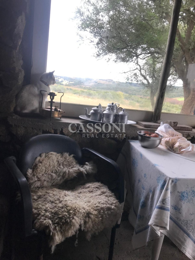 Chacra ID.3953 - MUY LINDO CAMPO EN GARZÓN CON FINCA  DE 2 DORMITORIOS