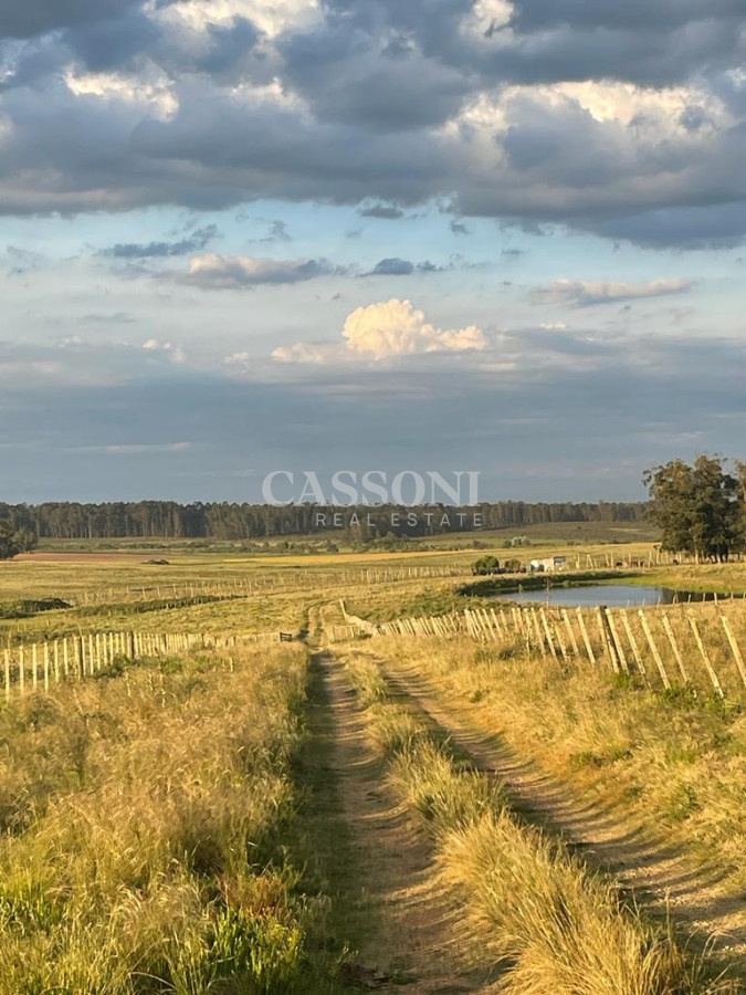Campo Ref.4874 - LOTES EN MANANTIALES, SOBRE RUTA 104