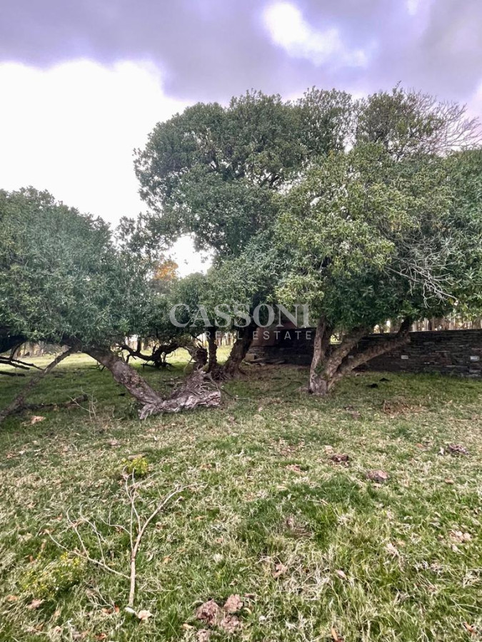 Campo Ref.4874 - LOTES EN MANANTIALES, SOBRE RUTA 104