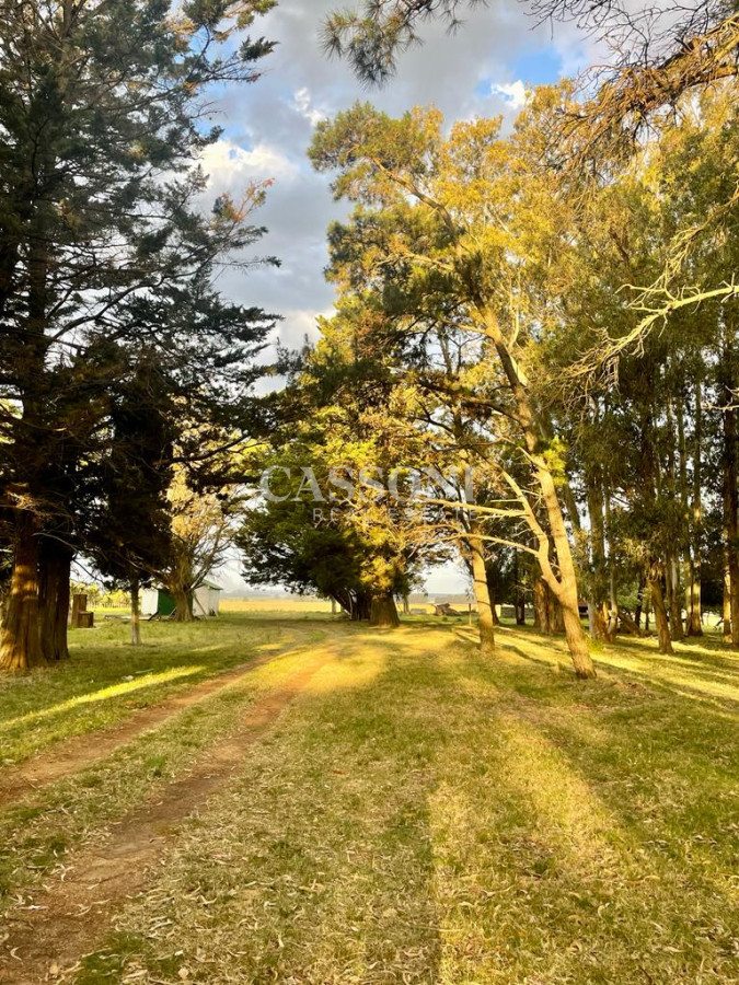 Campo Ref.4874 - LOTES EN MANANTIALES, SOBRE RUTA 104
