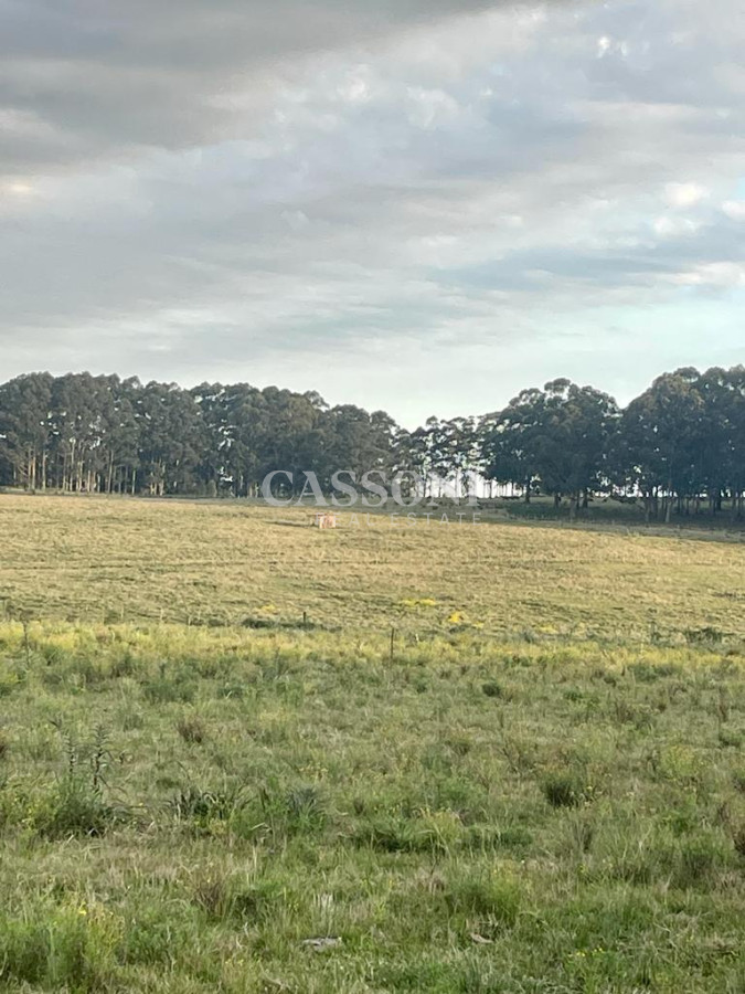 Campo Ref.4874 - LOTES EN MANANTIALES, SOBRE RUTA 104