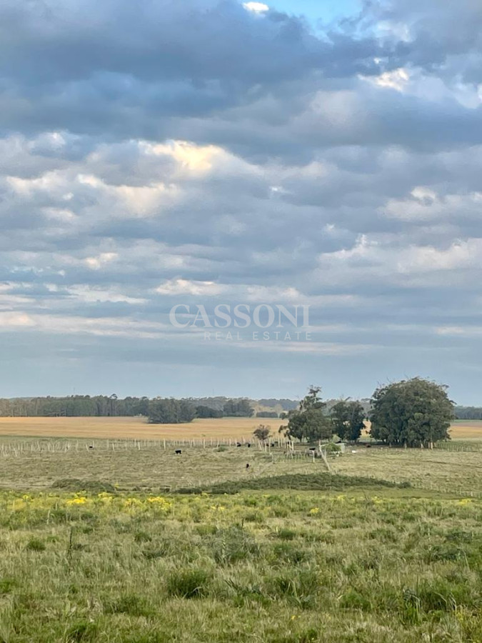Campo Ref.4874 - LOTES EN MANANTIALES, SOBRE RUTA 104
