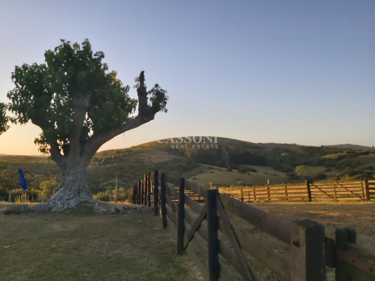 Campo Ref.987 - Venta de Campo en Sierra de los Caracoles, 267 Has, Ganadero-Turístico