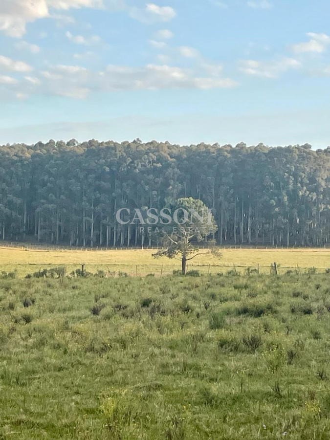 Campo Ref.4874 - LOTES EN MANANTIALES, SOBRE RUTA 104