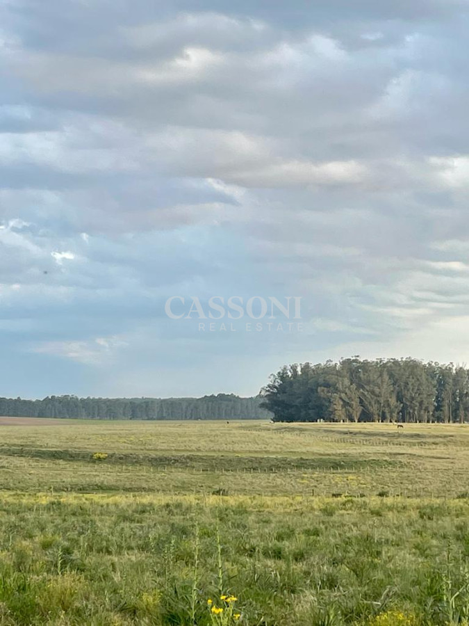 Campo Ref.4874 - LOTES EN MANANTIALES, SOBRE RUTA 104