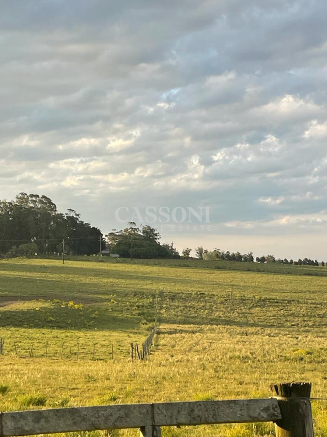 Campo Ref.4874 - LOTES EN MANANTIALES, SOBRE RUTA 104