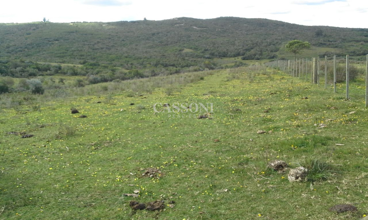 Campo Ref.291 - Campos en Garzon, aptos para Viñedos 