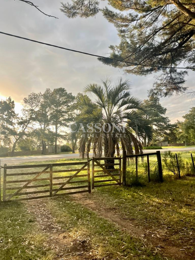 Campo Ref.4874 - LOTES EN MANANTIALES, SOBRE RUTA 104
