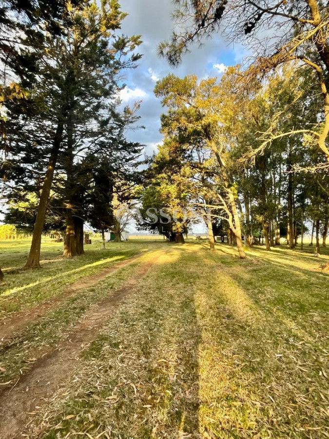 Campo Ref.4874 - LOTES EN MANANTIALES, SOBRE RUTA 104
