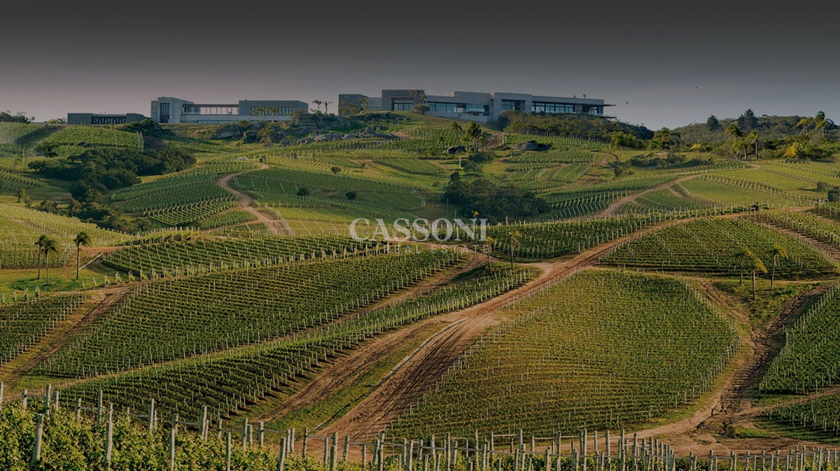 Campo Ref.291 - Campos en Garzon, aptos para Viñedos 