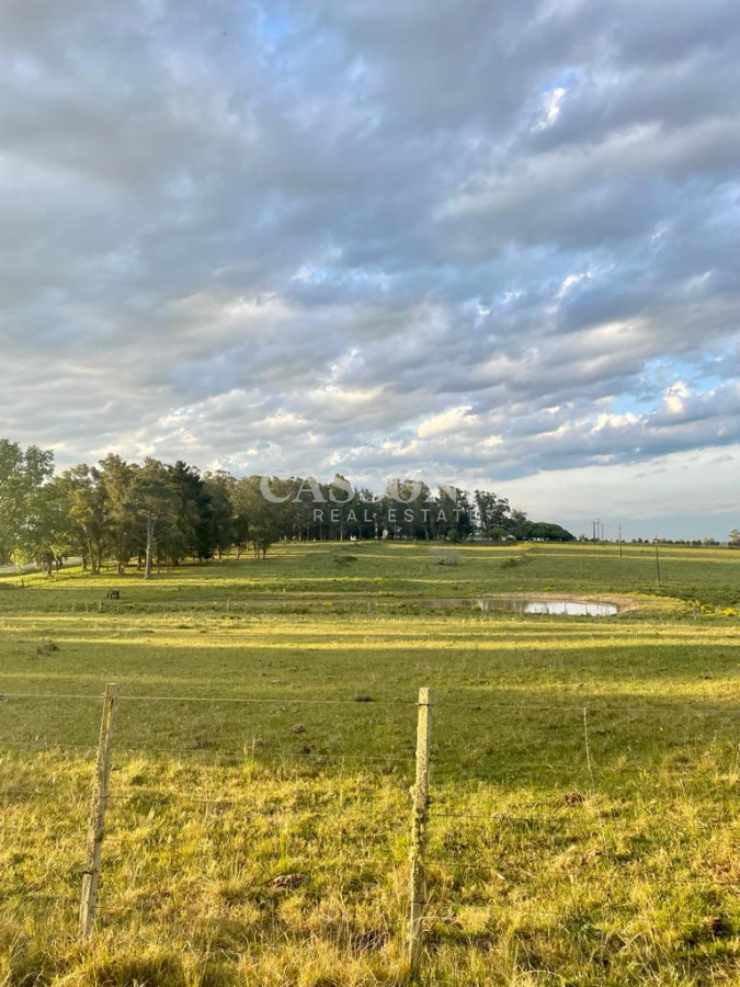 Campo Ref.4874 - LOTES EN MANANTIALES, SOBRE RUTA 104