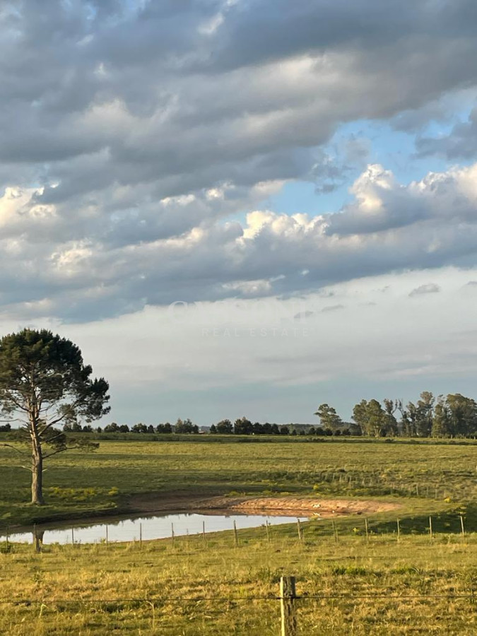 Campo Ref.4874 - LOTES EN MANANTIALES, SOBRE RUTA 104