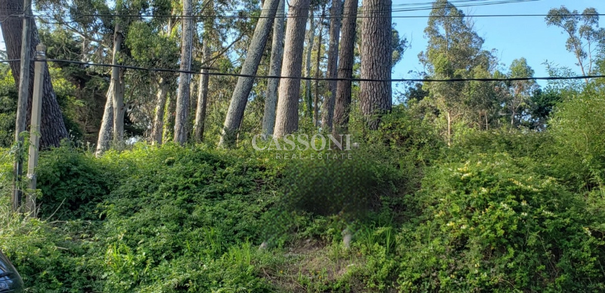 Terreno ID.27 - Venta de 4 terrenos en zona de privilegio