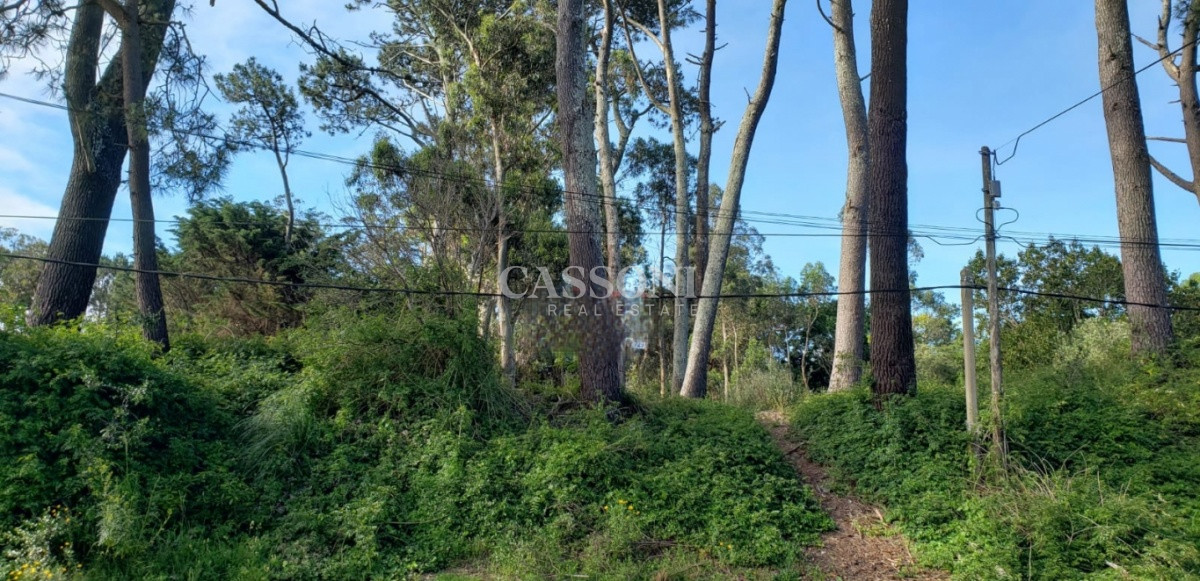 Terreno ID.27 - Venta de 4 terrenos en zona de privilegio