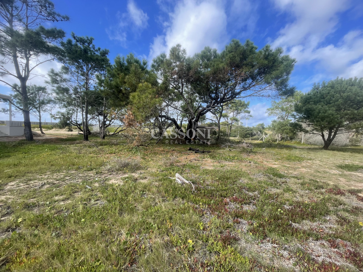 Terreno ID.4899 - Un Refugio entre los Pinos y el Mar