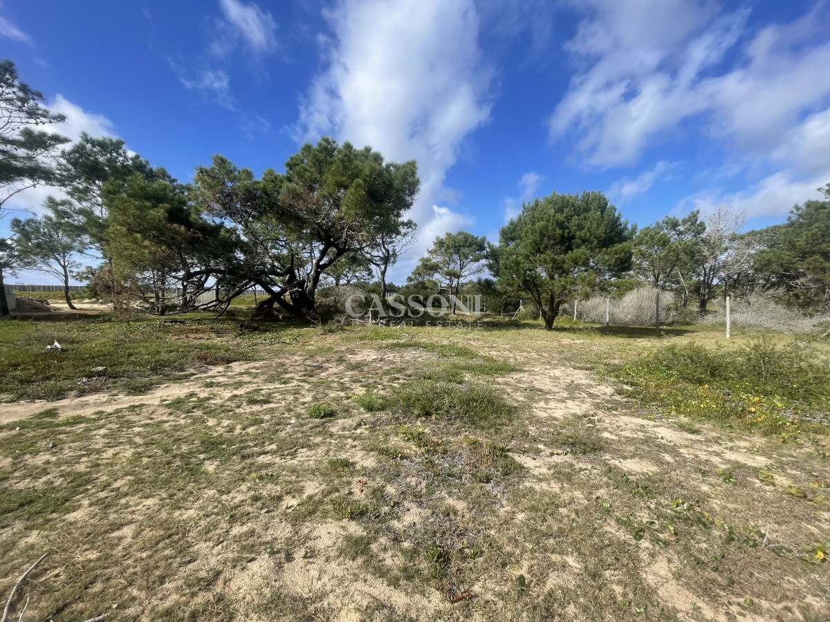Terreno ID.4899 - Un Refugio entre los Pinos y el Mar
