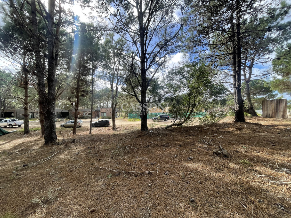 Terreno ID.4903 - Un Terreno, Mil Posibilidades