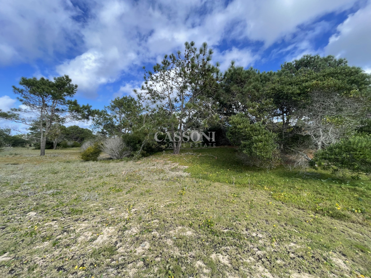 Terreno ID.4901 - Entre la Laguna y el Atlántico