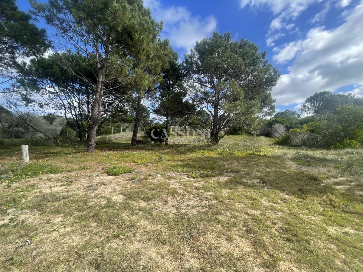 Terreno ID.4900 -  Naturaleza y Diseño en Perfecto Equilibrio