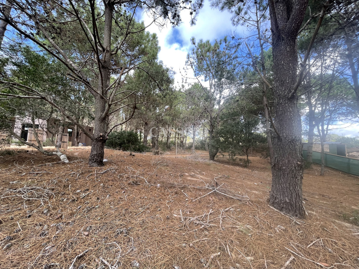 Terreno ID.4903 - Un Terreno, Mil Posibilidades
