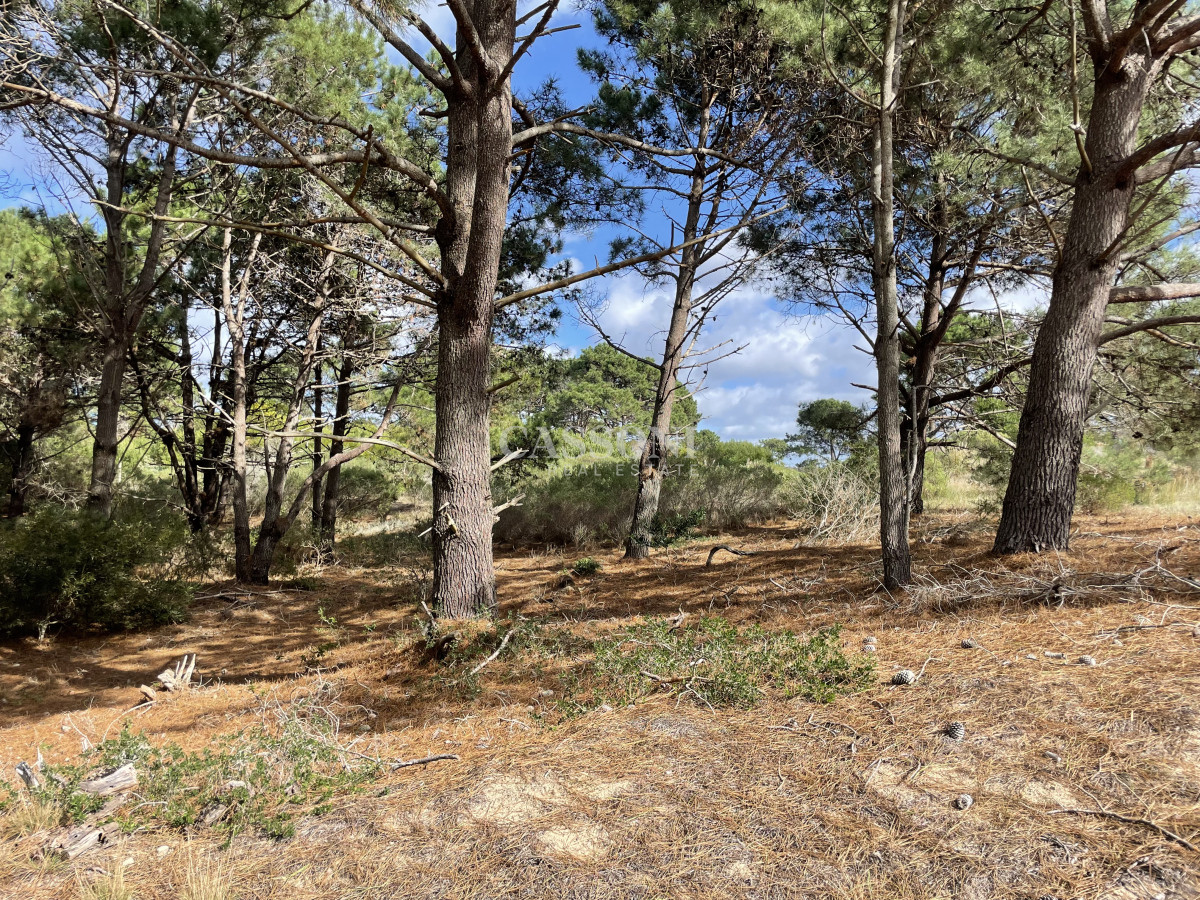 Terreno ID.4904 - Diseño y Privacidad a Tu Medida en Laguna Escondida