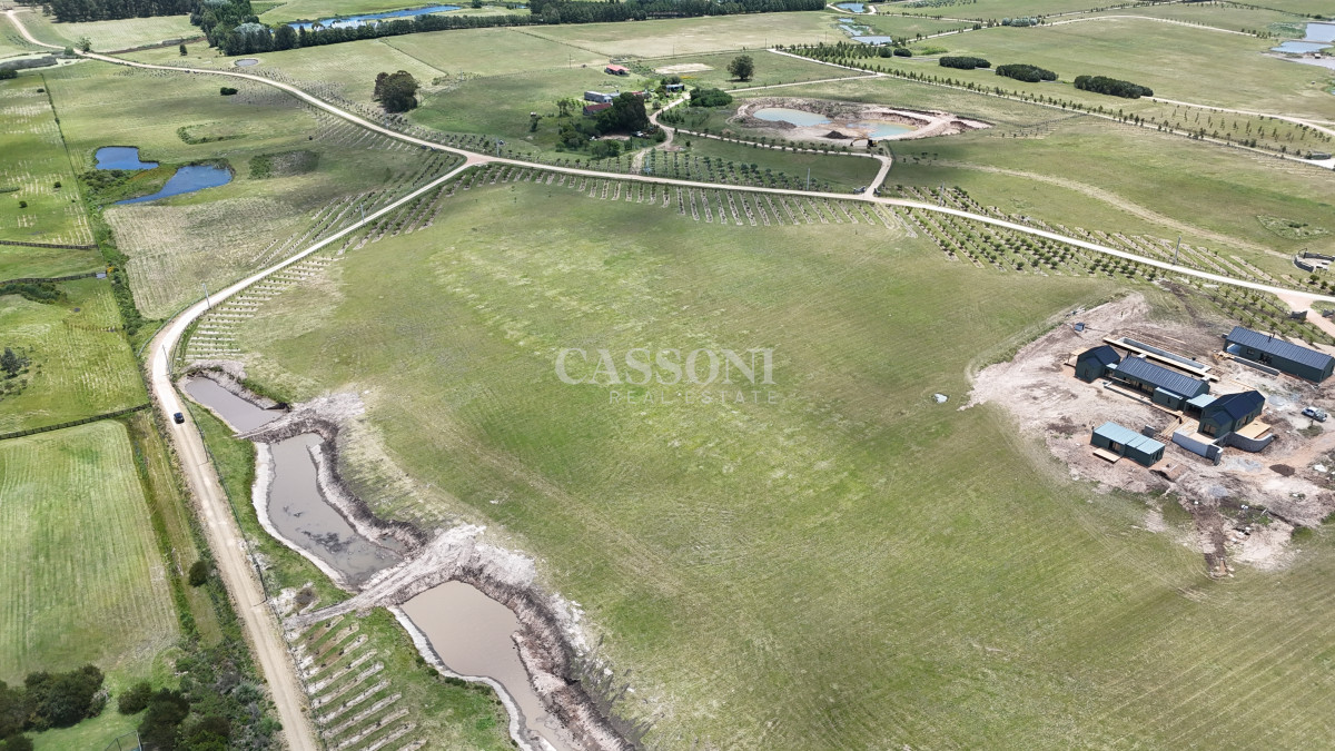 Terreno ID.5157 - Terreno 1 Hectárea en La Plantación Narbona Ruta 104