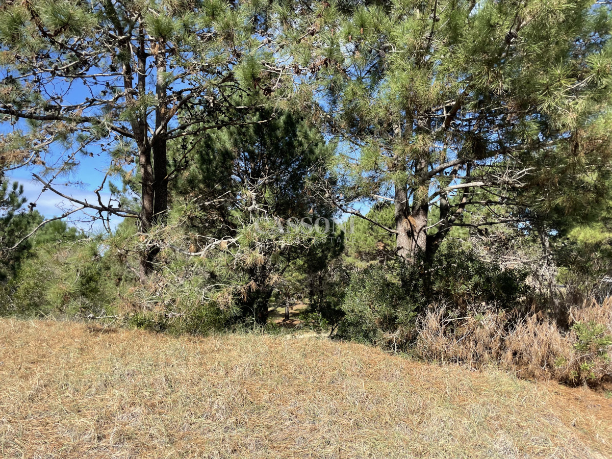 Terreno ID.4914 - Un Refugio para Desconectar