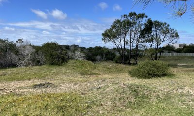 Primera Fila al Paisaje Más Exclusivo del Este