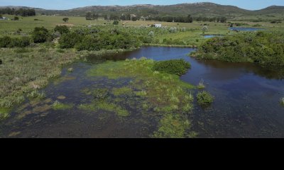 Chacra en la zona de Las Cañas, Ruta 39, Km 46, a pocos metros de la ruta.  - Ref : EQP5674