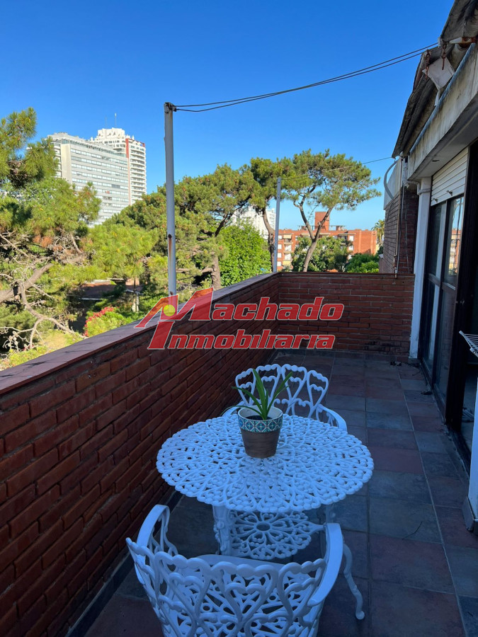 Aidy Grill - GoPunta - Portal Inmobiliario de Punta del Este - Maldonado