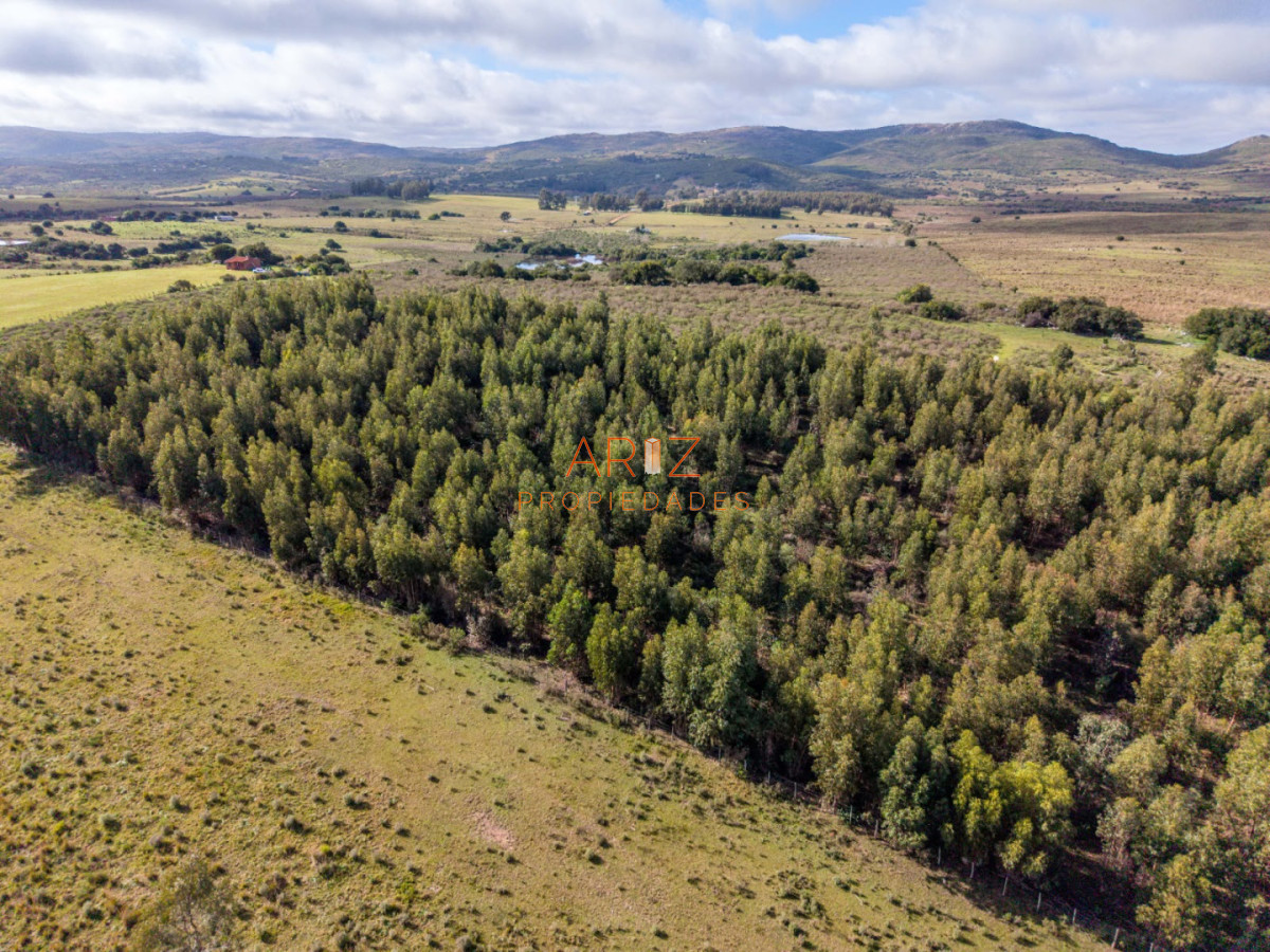 Chacra ID.1824 - VENTA Chacra en Paraje; Las Cañas Maldonado