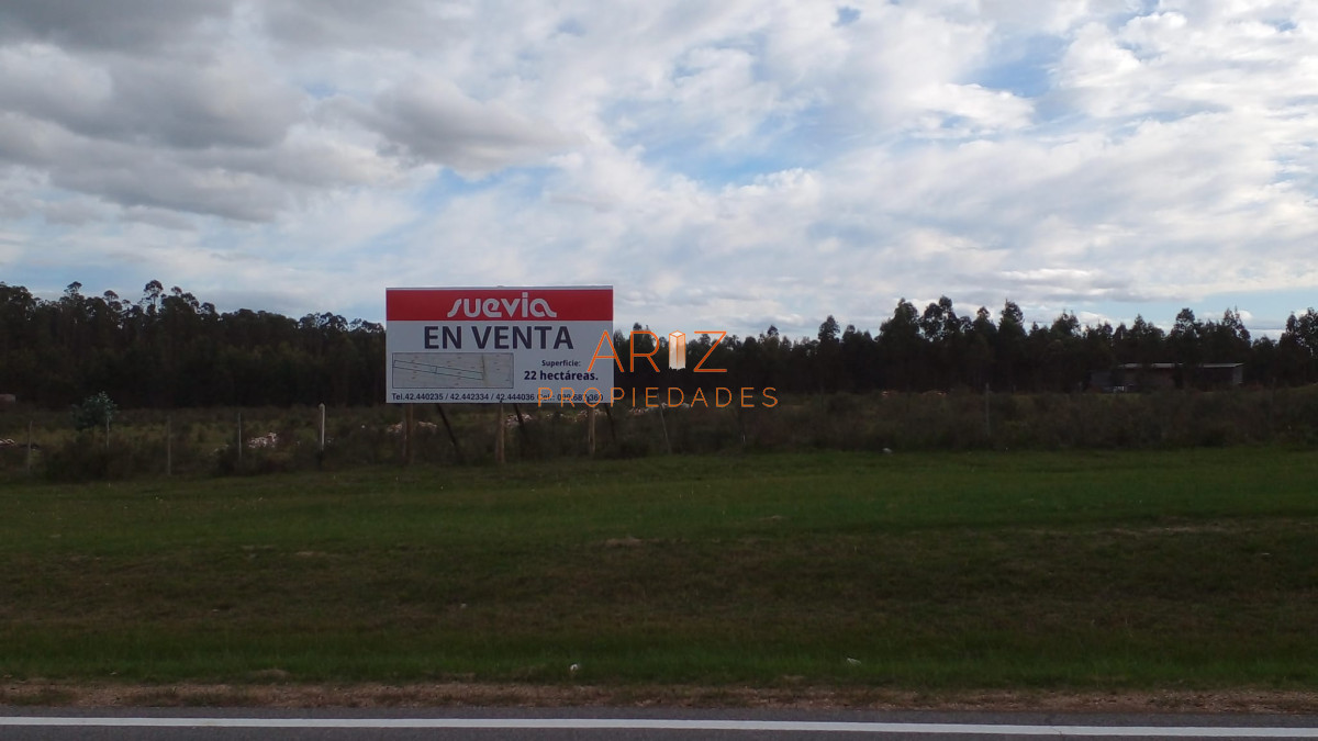 Chacra ID.1991 - Importante Chacra sobre Ruta 104 Excelente ubicación