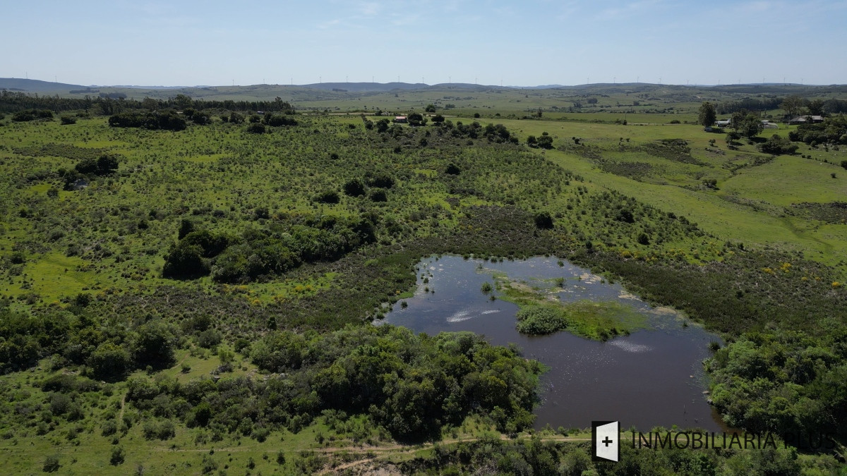 Chacra ID.1015 - Venta de Chacra de 16 hectáreas en Zona Rural con casa de 1 Dormitorios 1 Baños 