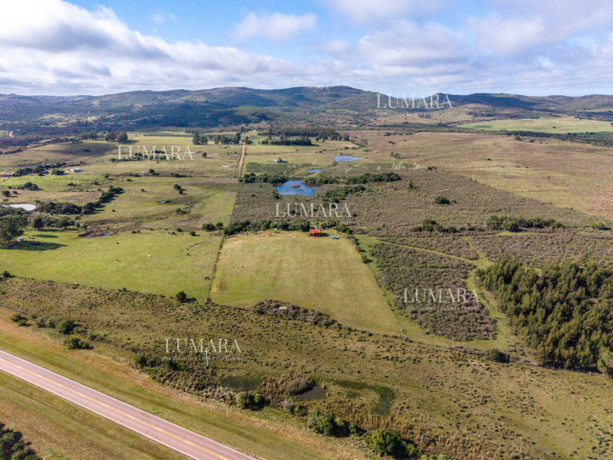 Chacra ID.1176 - Chacra en Paraje; Las Cañas Maldonado