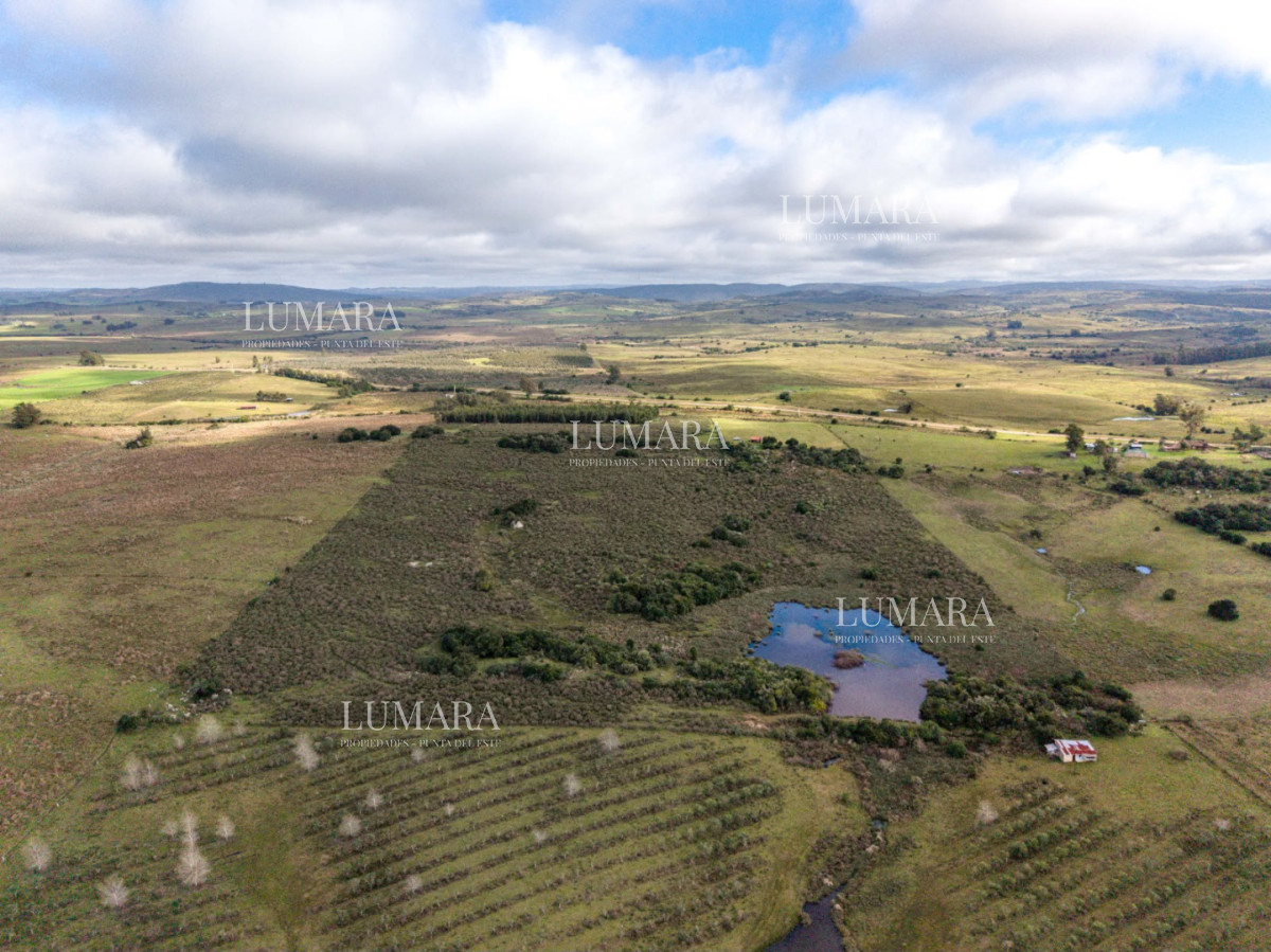 Chacra ID.1176 - Chacra en Paraje; Las Cañas Maldonado