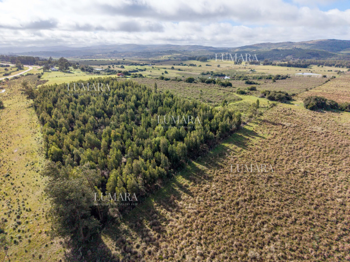 Chacra ID.1176 - Chacra en Paraje; Las Cañas Maldonado