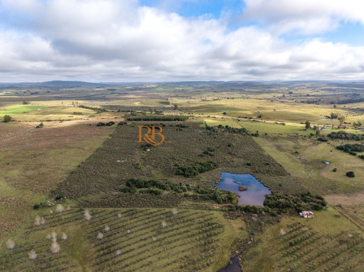 Chacra ID.95 - Chacra en Paraje; Las Cañas Maldonado