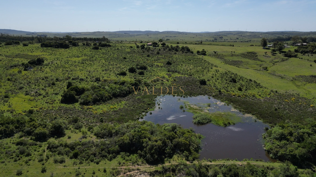 Chacra ID.2779 - Chacra en Paraje 