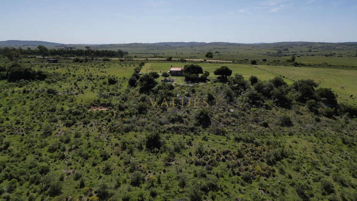 Chacra ID.2779 - Chacra en Paraje 