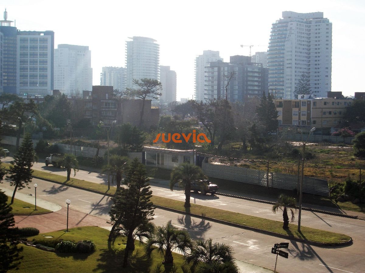 Brava - GoPunta - Portal Inmobiliario de Punta del Este - Maldonado